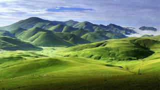 来曲靖过“凉”夏 感受珠江源头菌香好风光