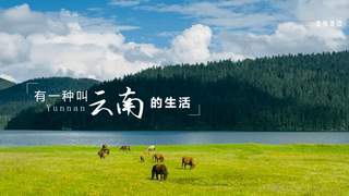 2026滇池国际咖啡文化嘉年华启幕 迪庆高原歌舞惊艳登场