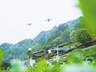 恩施抹茶如何在夹击中破局
