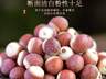 夏季消暑煲汤,芡实的全家营养神器
