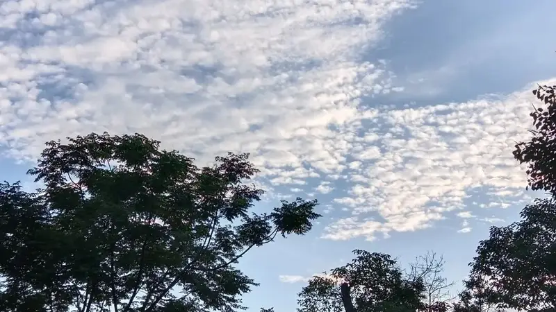 高考698分却称“考砸”:“最差即最优”焦虑背后的新解