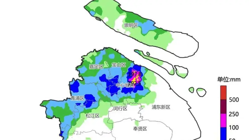 暴雨致复旦校园多处积水，“看海”模式后通行已恢复