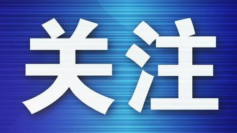 男子迟到谎称航班有炸弹 致5架次延误获刑一年半