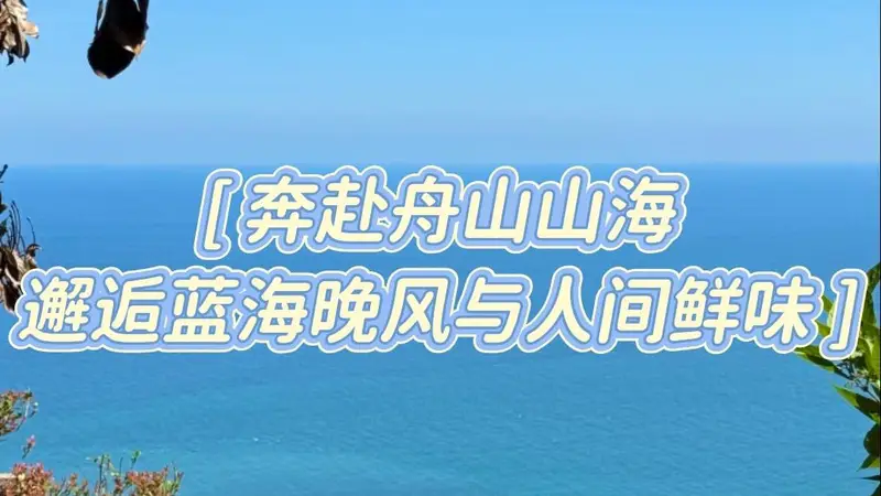 暑期玩转舟山:避开人潮与踩雷的终极攻略