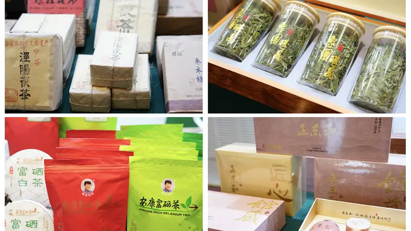 陕茶携新生产线挺进新疆 边销茶加工机械化促丝路茶产业振兴