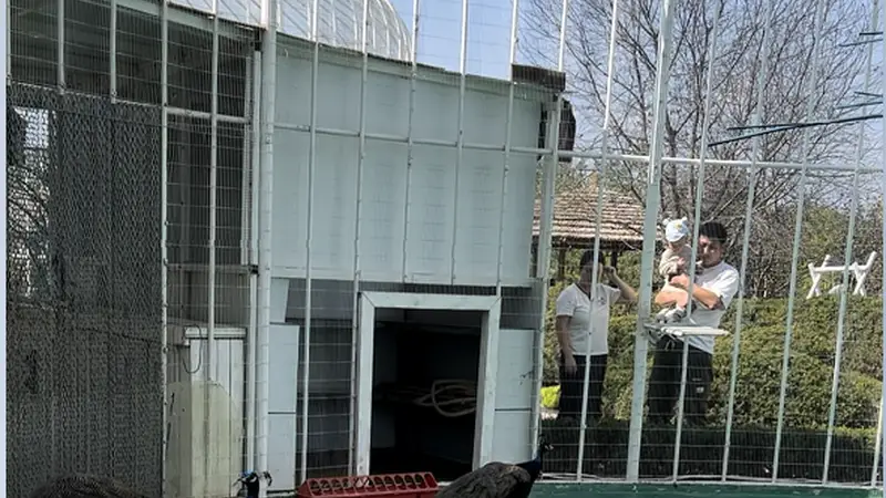 凤城近郊休闲好去处 香沙湾浴场等场地推出亲水游配套