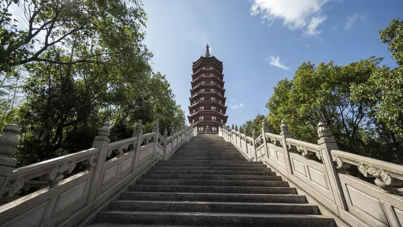 深耕普陀山十余年 杭州自在旅行社面向同行开放核心资源