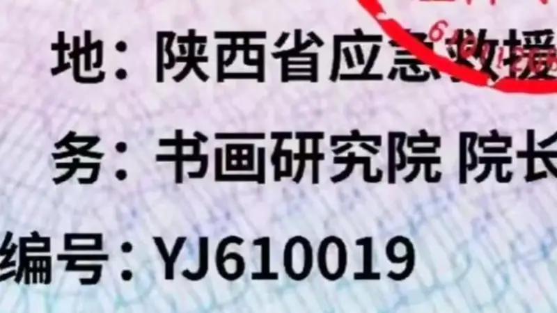 “国际应急救援中心陕西总队”被取缔,曾下设书画研究院