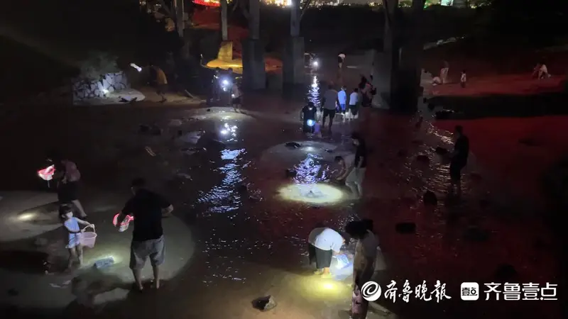 山海天太公岛牡蛎公园:夏日夜赶海乐趣多