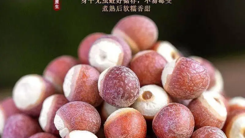 夏季消暑煲汤,芡实的全家营养神器