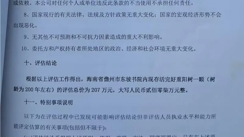 海南白沙百年重阳树被警方扣押后遭林业局赠予 村民申诉多年高院裁定再审申请驳回