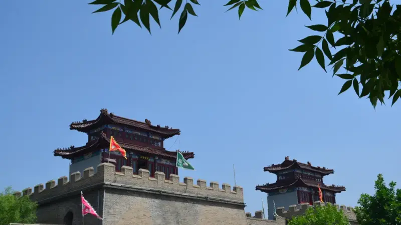 从厦门返太原始 旅途中捡黄槿花藏过往
