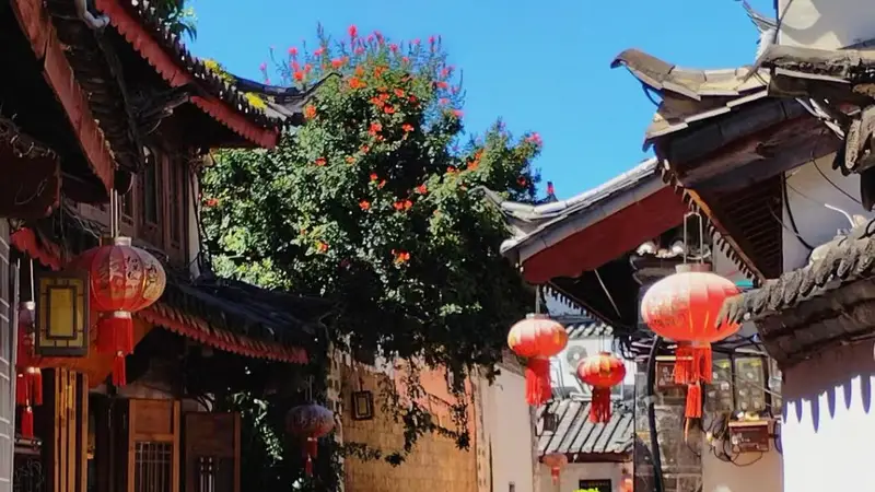 7-8月丽江暑期情侣避暑攻略:清凉避堵玩得爽