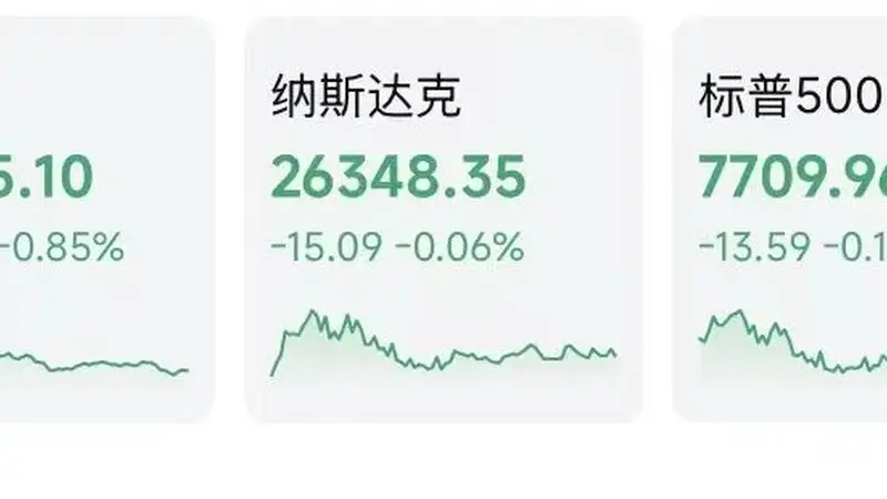 昨夜美股存储芯片巨头跳水 AI应用板块重挫领跌