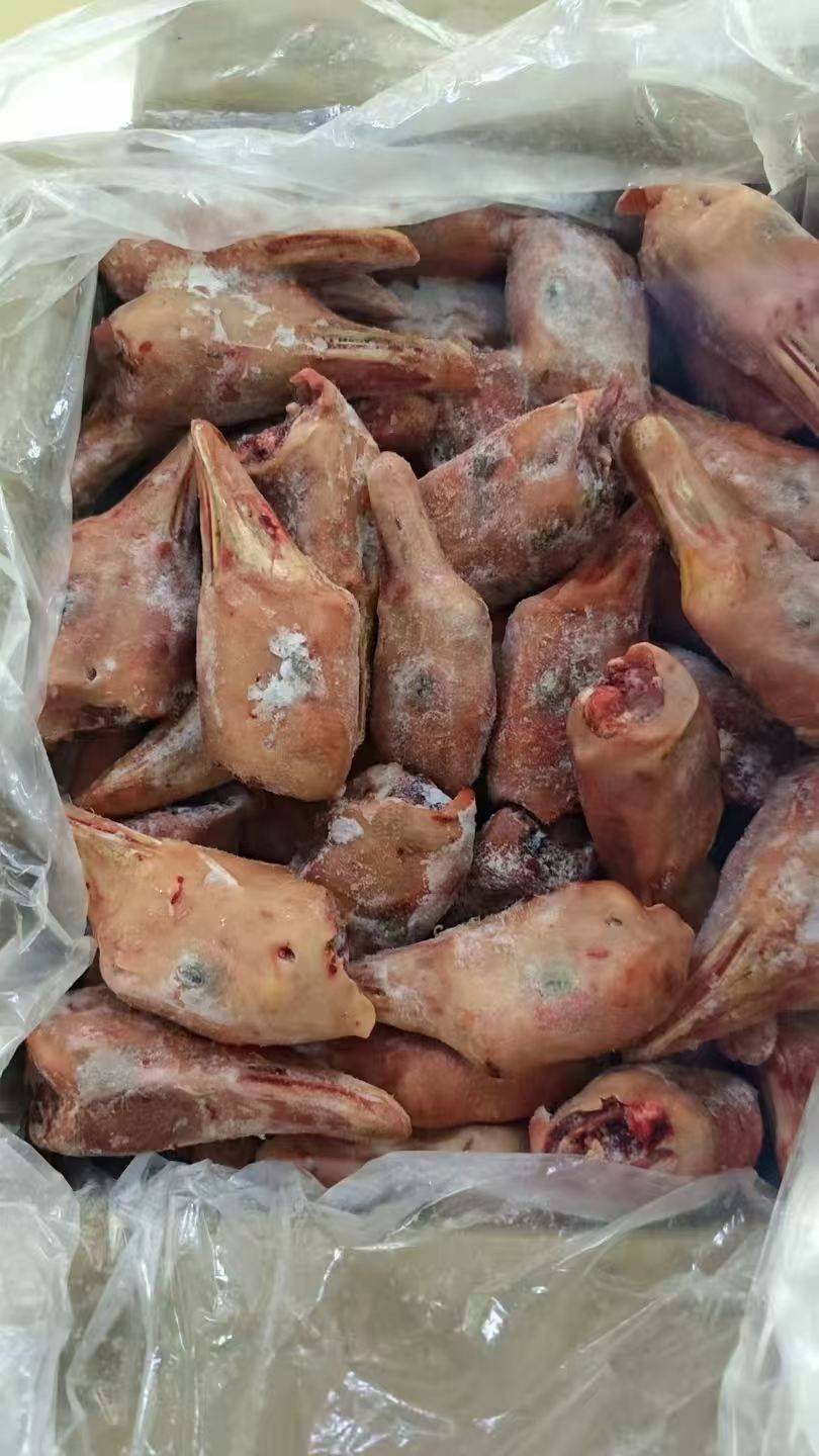 鹅肝在餐饮应用中的选型关注点与适配场景分析