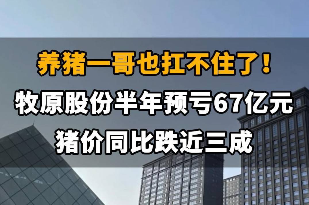 【养猪一哥也扛不住了！牧原股份半年亏掉67亿元，猪价同比跌近三成】