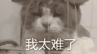 重燃热血,回归正当时!怀旧mmo玩家归宿还得是天下贰经典版
