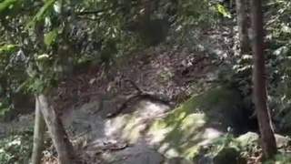 让安全成为文旅发展不可逾越的红线