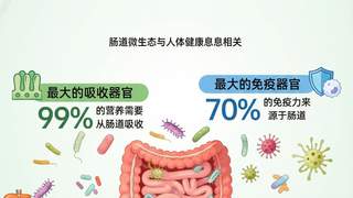 发酵食品养肠有讲究：选对菌种才能事半功倍