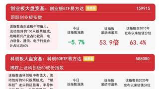 创业板指低开低走深度调整,创业板ETF易方达(159915)日内逆势获近5亿份净申购
