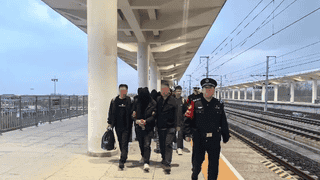特大跨国制贩毒案告破71人被抓：化学硕士突然辞职，联合高校退休化工专业教师生产毒品前体，境外合成后，伪装成越南特产山茶油等进行销卖