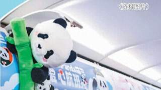 坐“萌兰”飞机来北京