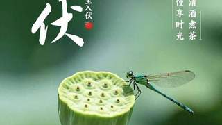 明日入伏，强烈建议中老年：明日早餐吃这4种，精神抖擞一整天！