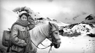 李爱华《西藏日记》连载39：马蹄踏碎千里雪