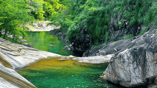 丽水赴沪发布避暑旅居精品路线，送上“秀山丽水新村民”邀请函