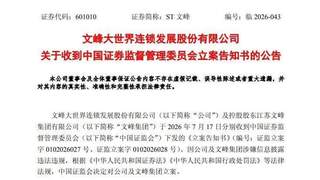 突发！601010及控股股东双双遭立案调查