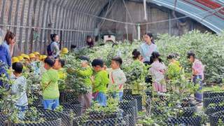 太子河区文旅融合走深走实