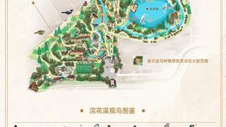 浣花溪公园观鸟地图：探秘259种鸟类栖息地