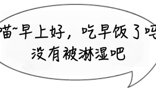 早餐加个蛋，不仅能管体重还助健康