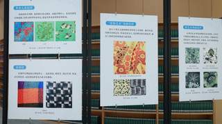 丝绸纹样将纳入青少年学习 东华大学教授解析东方美学内涵
