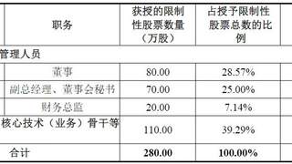 新晨科技连亏两年发布股权激励 仅6人获授业绩仅考核营收