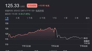 SpaceX首份财报发布 158亿美元AI资本支出超预期 盘后股价大跌