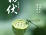 明日入伏,强烈建议中老年:明日早餐吃这4种,精神抖擞一整天!