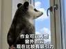 中国美院新生收录取通知书 配套30份速写暑期作业