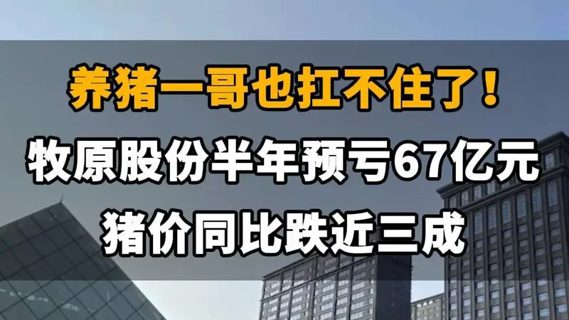 【养猪一哥也扛不住了!牧原股份半年亏掉67亿元,猪价同比跌近三成】