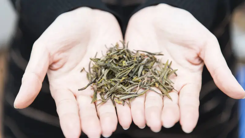 大红袍茶叶的健康益处有哪些?