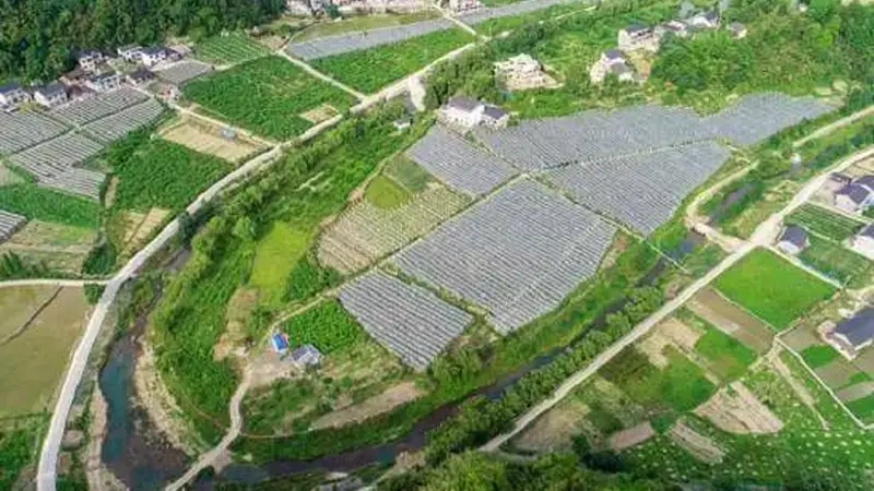 青龙垭:龙脉聚首,山水田园的千年守望