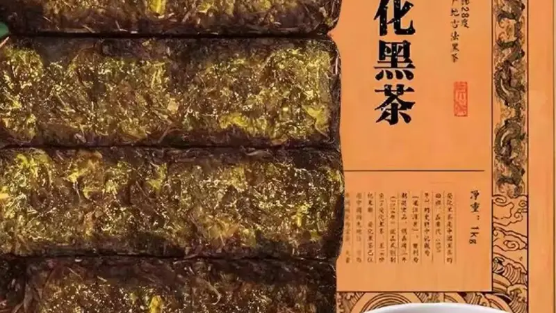 刘仲华院士获评黑茶金花之父 两获国家科技进步二等奖领跑中国茶界科研