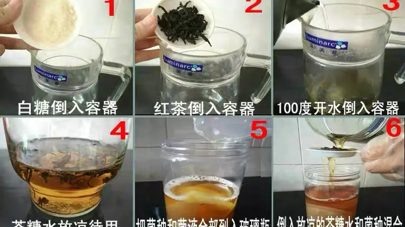糖分不低、活菌含量存疑,“茶饮新贵”康普茶饮料真的健康吗?