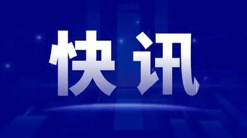 上海乐高乐园开业首年:接待游客人次创全球乐高乐园同期纪录,金山文体娱乐收入翻两番