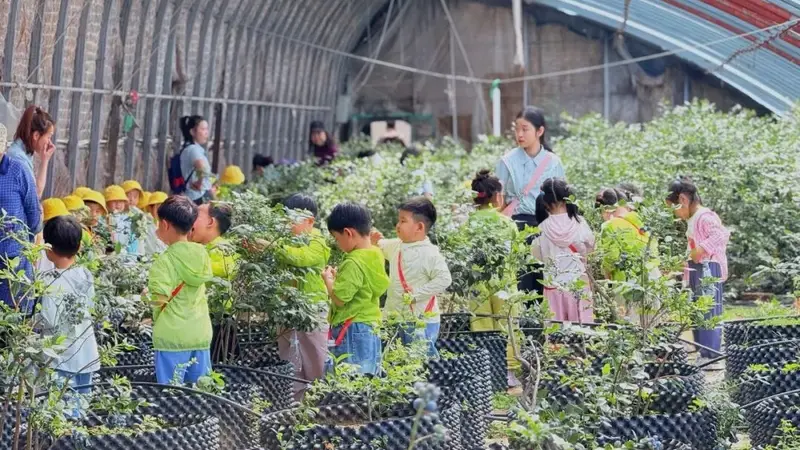太子河区文旅融合走深走实