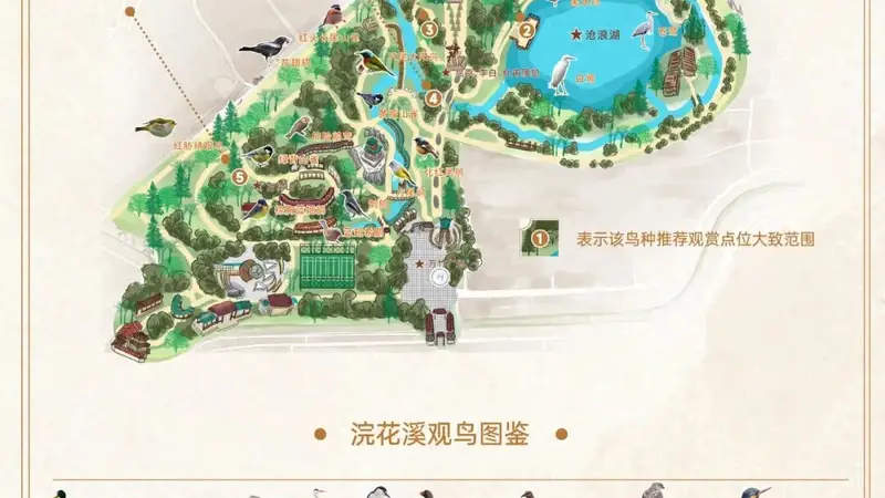 浣花溪公园观鸟地图:探秘259种鸟类栖息地