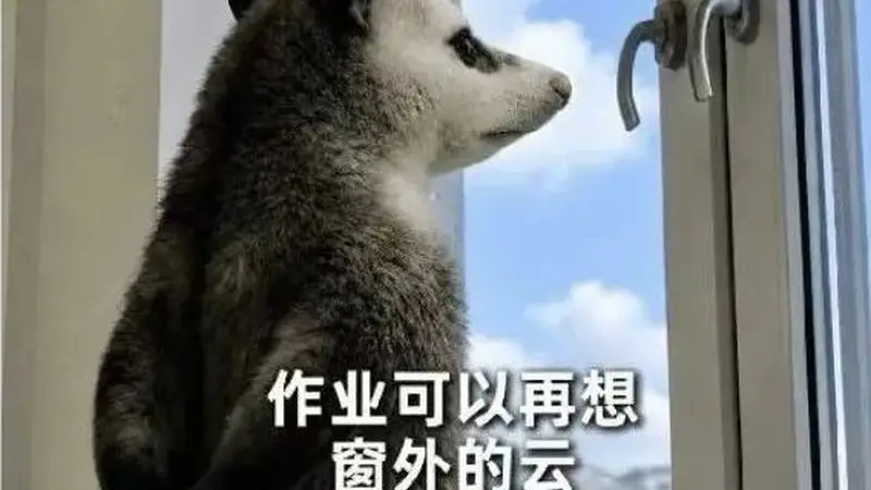 中国美院新生收录取通知书 配套30份速写暑期作业