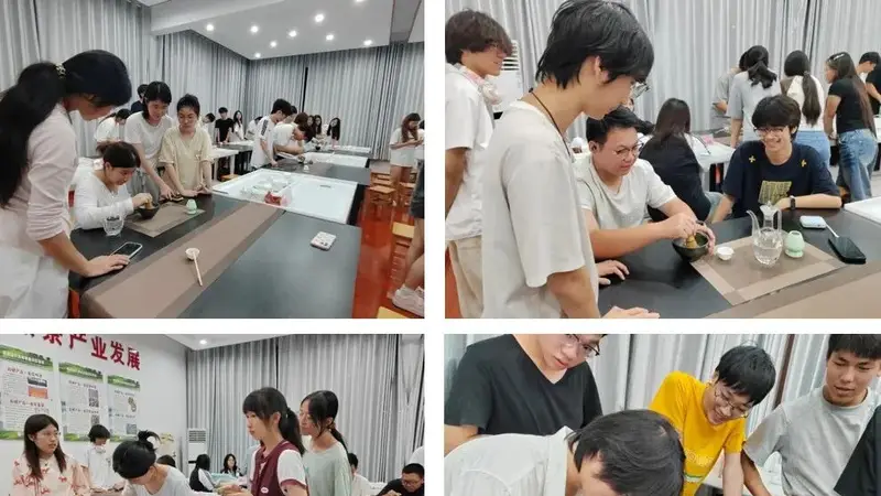 安化黑茶品鉴课结课 点茶与茶膏画为学子缓解备考焦虑