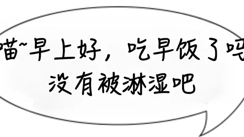 早餐加个蛋，不仅能管体重还助健康