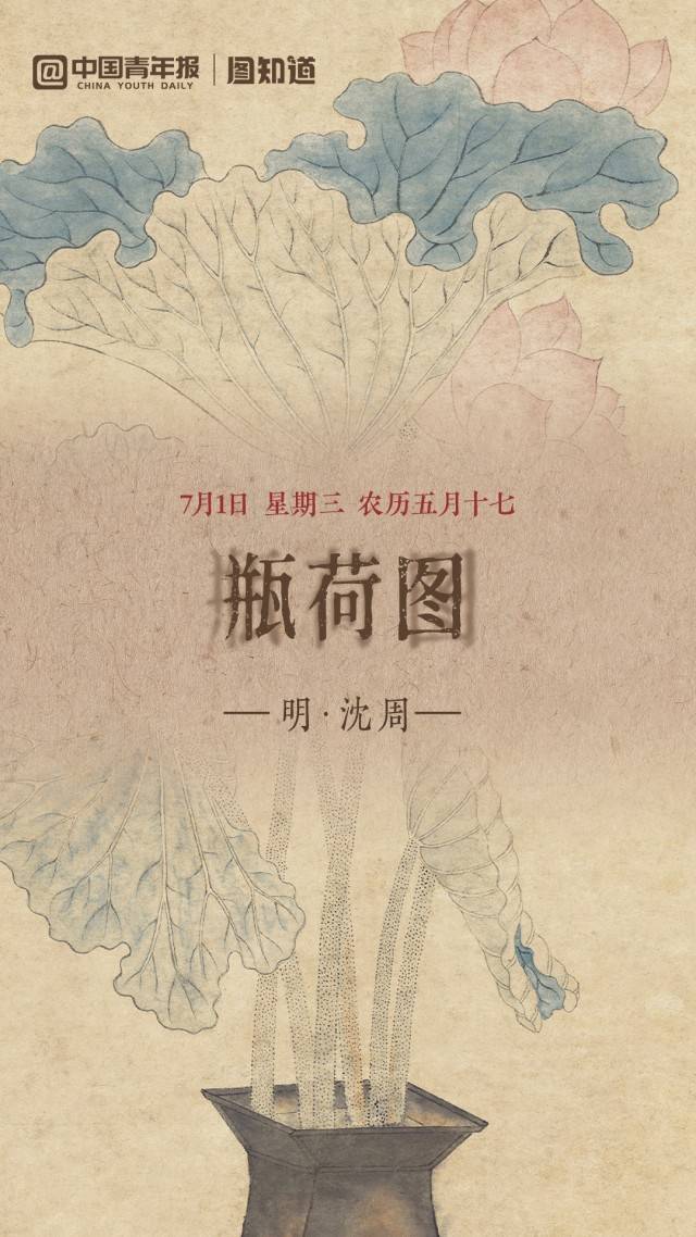 图知道｜《瓶荷图》：方口褐瓶 粉荷生香